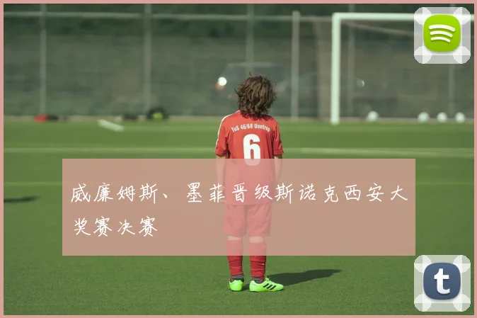 威廉姆斯、墨菲晋级斯诺克西安大奖赛决赛