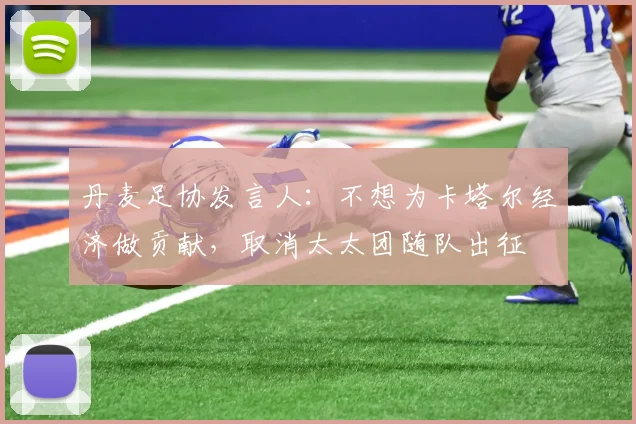 丹麦足协发言人：不想为卡塔尔经济做贡献，取消太太团随队出征