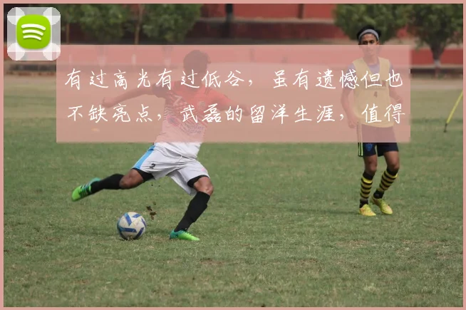 有过高光有过低谷，虽有遗憾但也不缺亮点，武磊的留洋生涯，值得