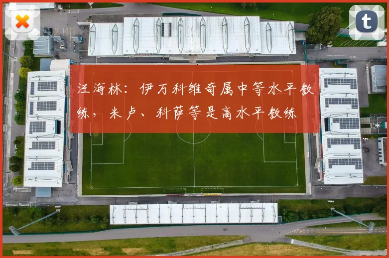 汪海林：伊万科维奇属中等水平教练，米卢、科萨等是高水平教练