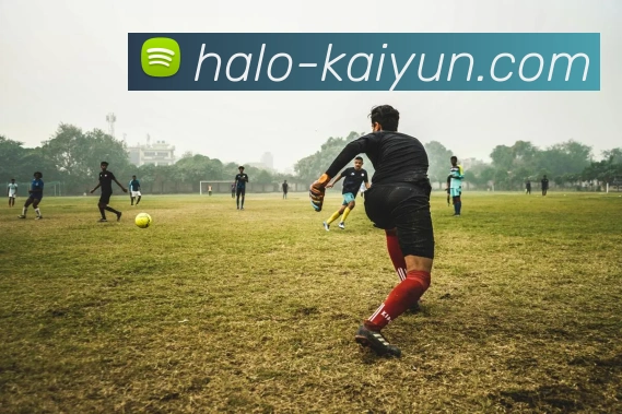 开云平台生态图